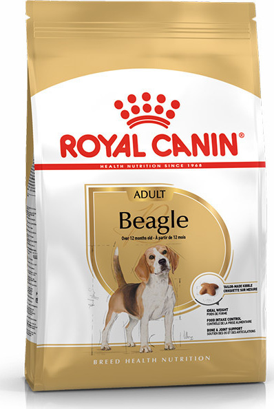 royal canin beagle adult